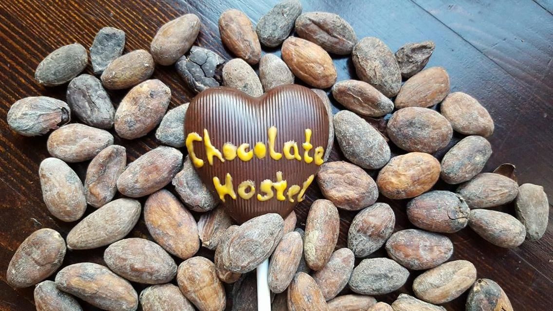 Хостелы Chocolate hostel Каунас-17