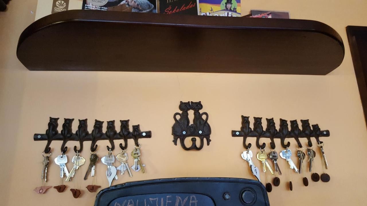 Хостелы Chocolate hostel Каунас-21